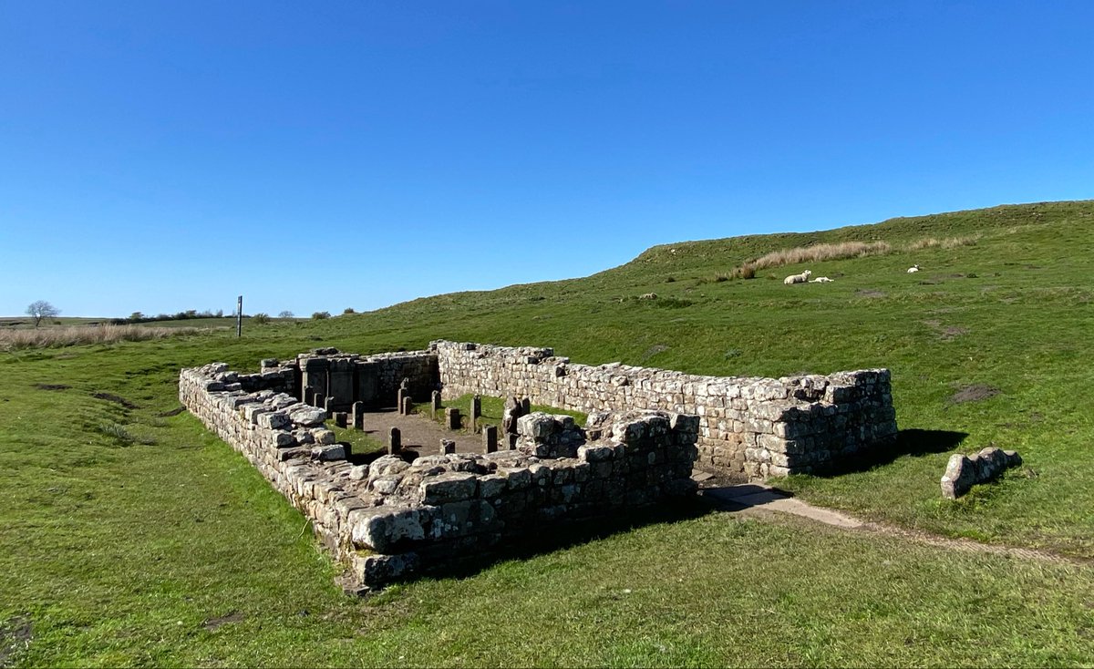 KatesfWriter's tweet image. The Temple of Mithras served soldiers at #Brocolitia Roman fort (Carrawburgh) and civilians living in the vicus c AD 200-350.
Brocolitia is one of 16 large forts on Hadrian's Wall. It housed a 500-strong auxiliary cohort from AD 130.
📷 my own.
#RomanBritain #Archaeology