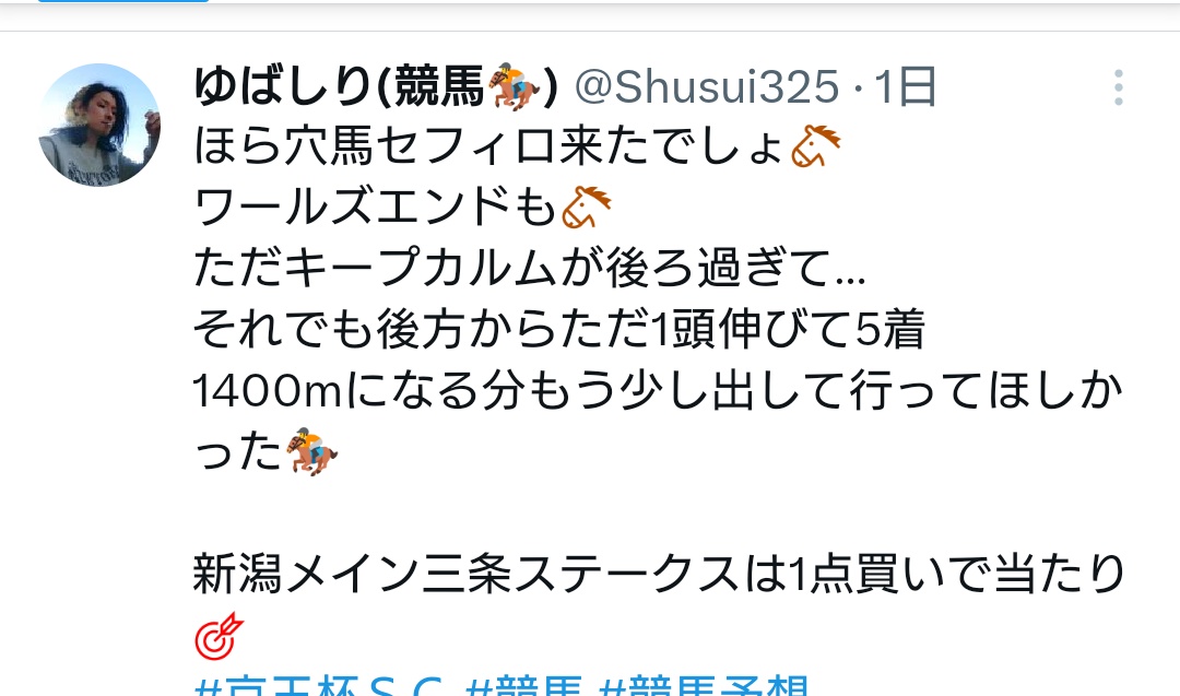 ゆばしり(競馬🏇) tweet media