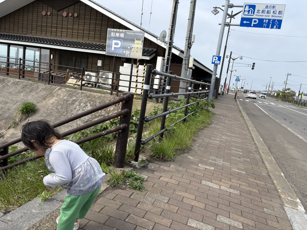 baldiris52's tweet photo. 北海道攻略旅2枚目は
道の駅 北前船 松前(228)にて(σ・∀・)σｹﾞｯﾂ!!

在庫も10枚以上あり

#国道ステッカー https://t.co/mckRUhxqbu