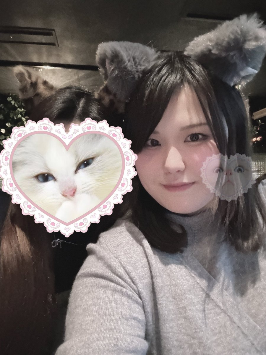 る🐈 tweet media