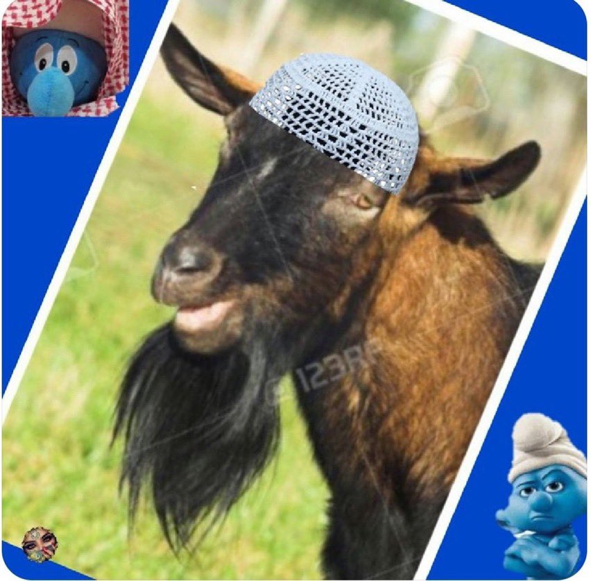 طلال ابوحسين tweet media