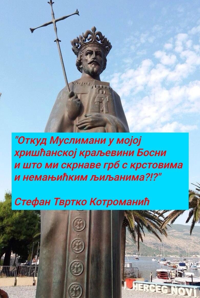 Lazar 🇷🇸🇷🇺 tweet media