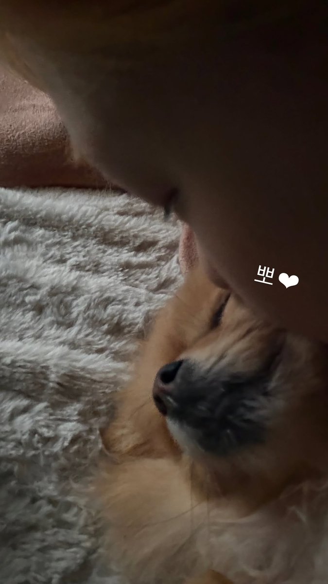 [IG story] 260503 YOOHYEON

kiss🩷

instagram.com/stories/ms.yoo…
#Yoohstagram