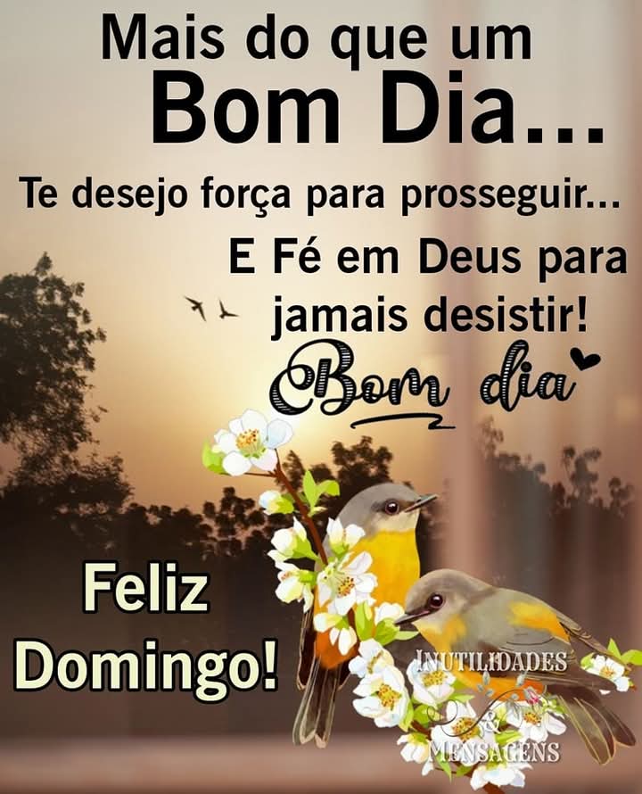 Adonai Moura tweet media