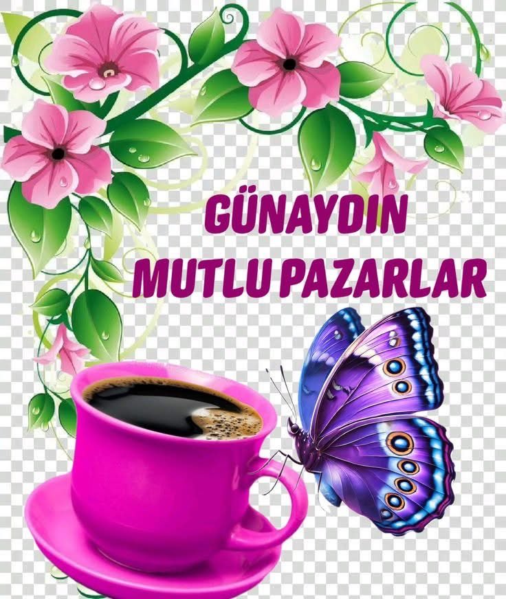 Bahri Şen tweet media