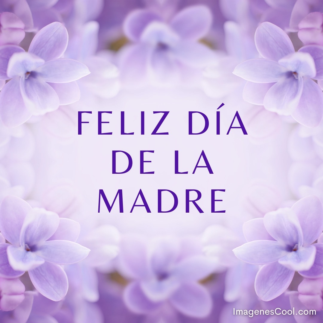 BelOhd's tweet photo. Buenos días!!🪻🪻🪻
Muchísimas Felicidades!!!!
💜🤍💜🤍💜🤍💜🤍💜🤍💜🤍 https://t.co/eoaSpeUYOM