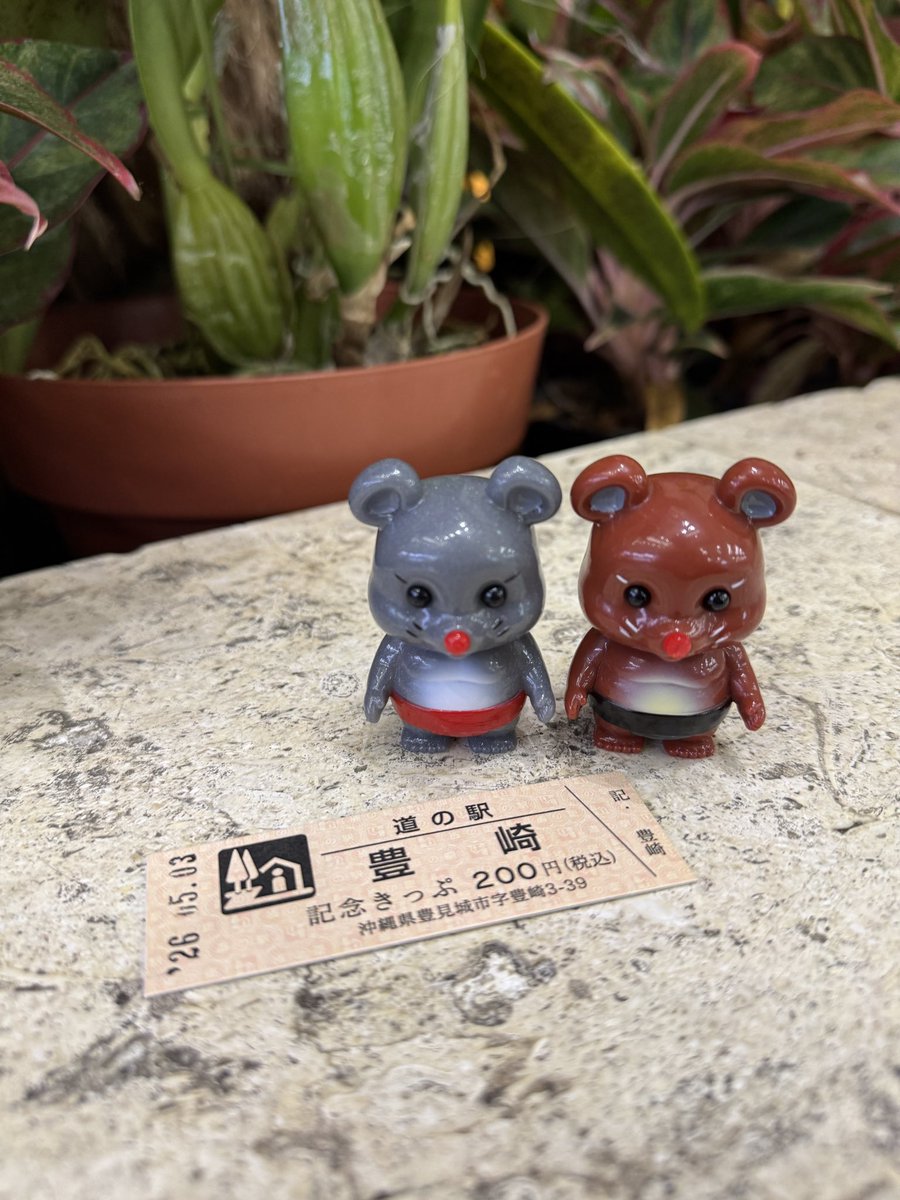 チュウズ (@chuu_55_chuu) / Posts / X
