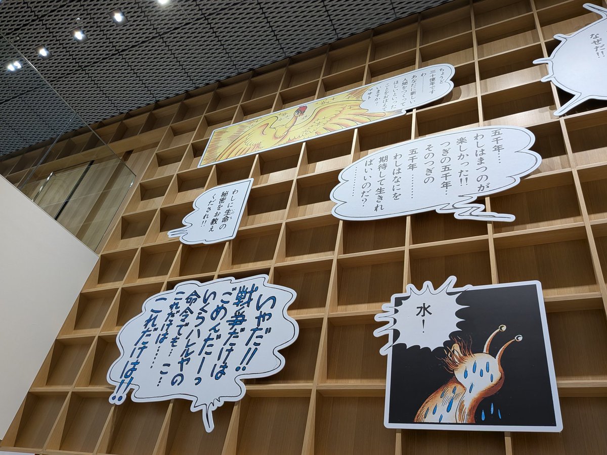 てぃもこ tweet media