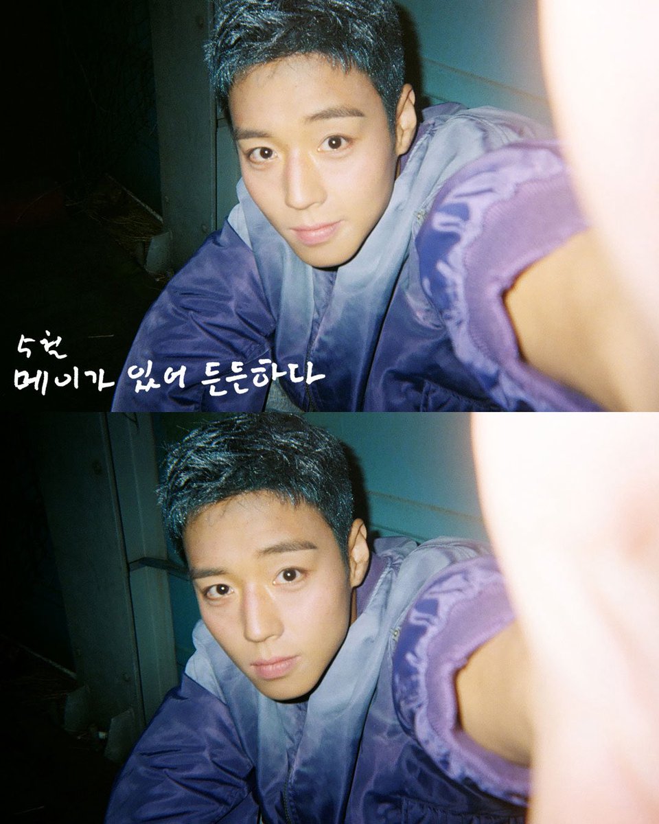 페퍼민트 tweet media