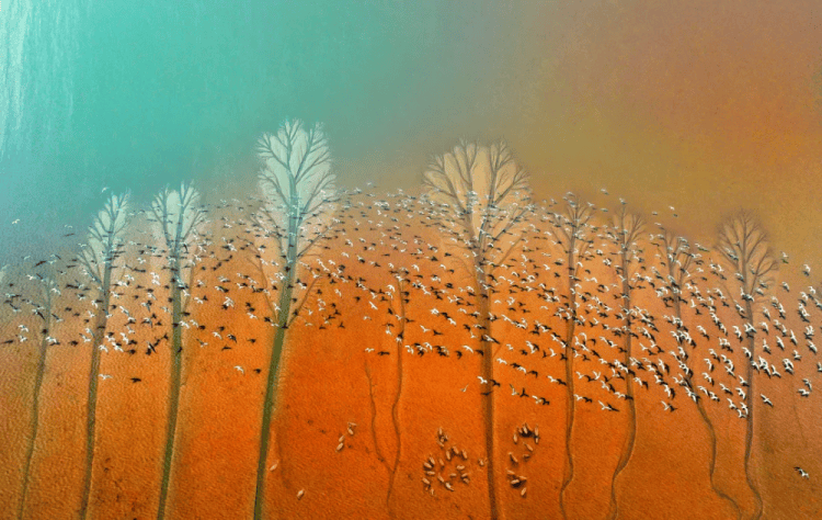 Aniket Ananda Tingar tweet media