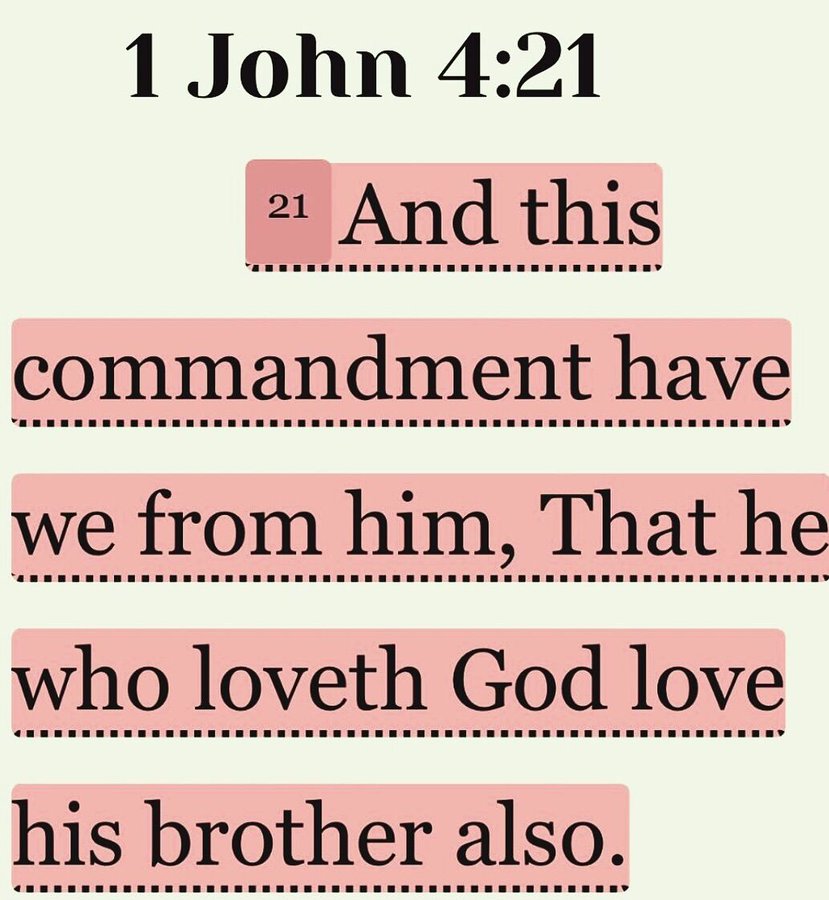 Bible 365 tweet media