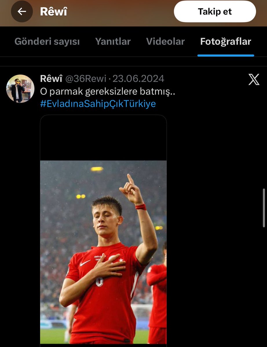 fistiqa sêrtê tweet media