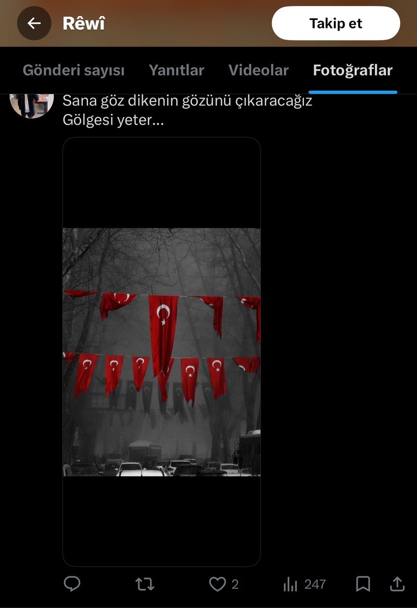 fistiqa sêrtê tweet media