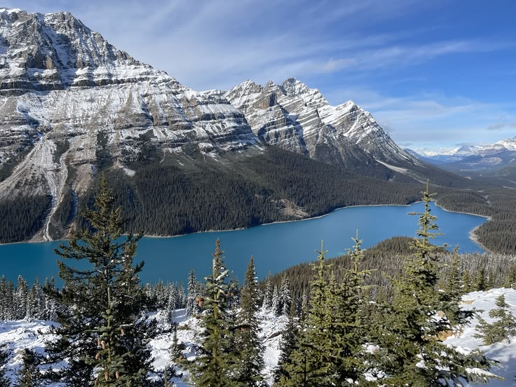 📍Peyto Lake in Banff National Park, Canada 🇨🇦