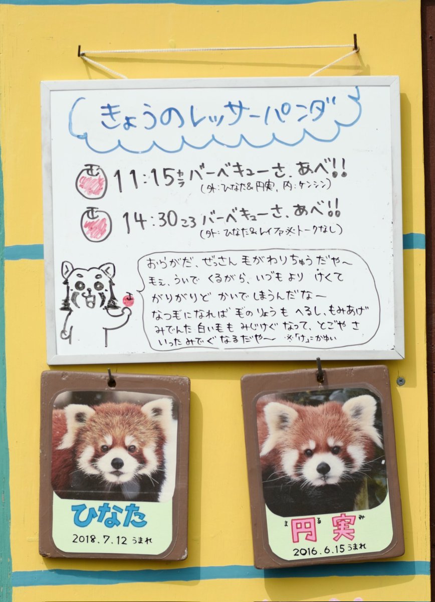 mochatake ＼もかたけ／ tweet media