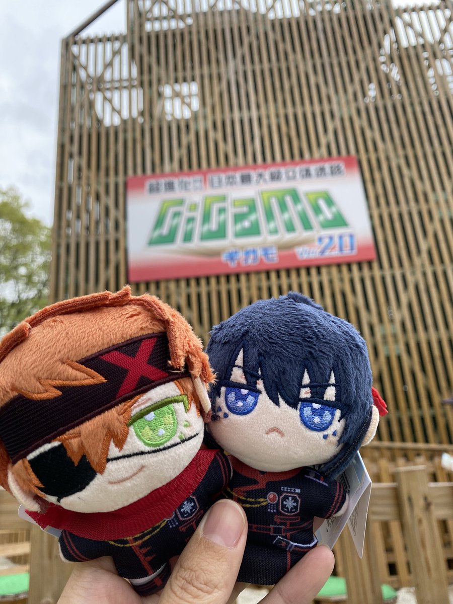 ぽりこ tweet media