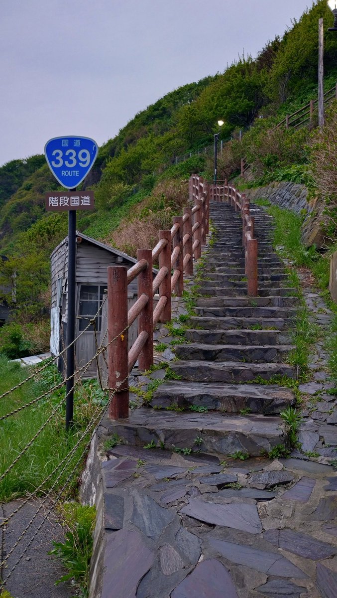 ゆうや tweet media