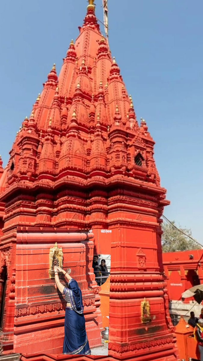 💫Beauty of India 🌼 tweet media