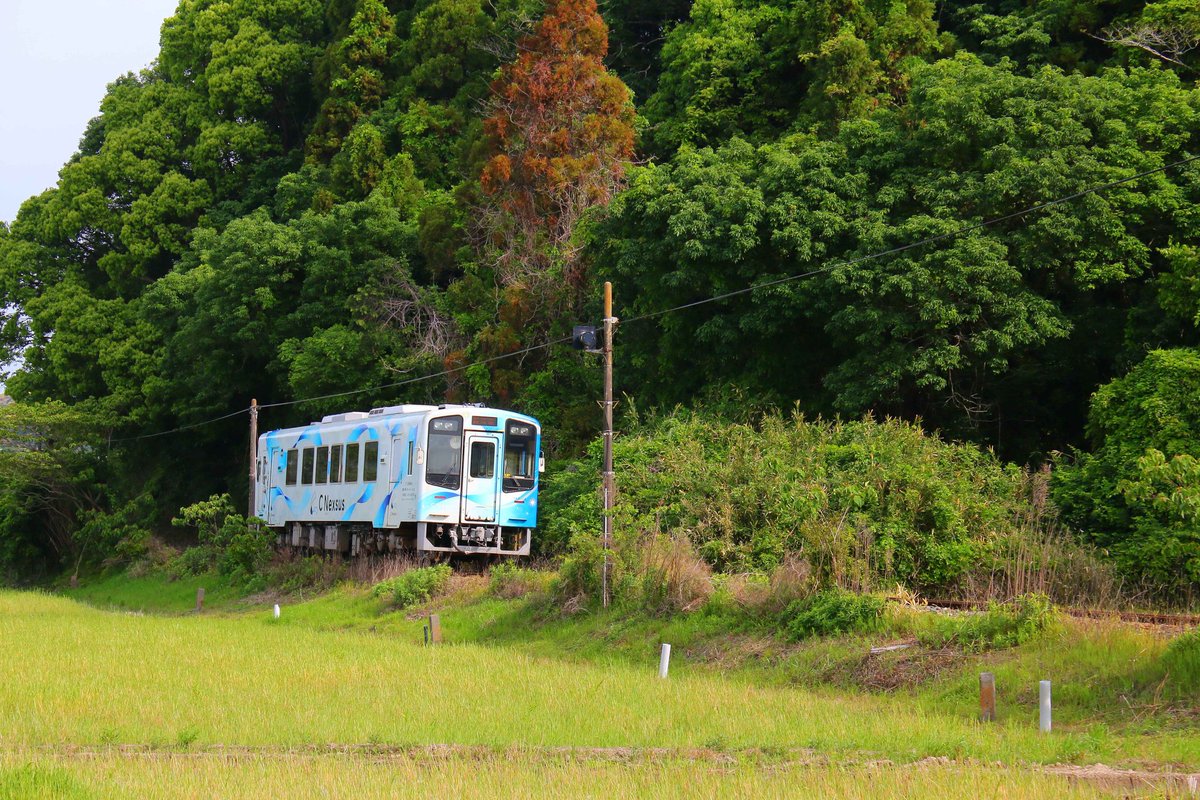 Yu-suke21.5km(交替勤務をする走る設備保全マン) tweet media