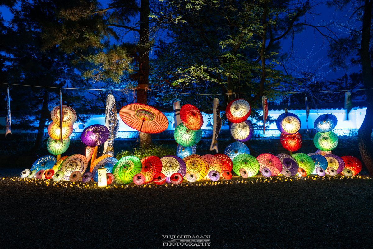 Yuji Shibasaki＠Photo tweet media
