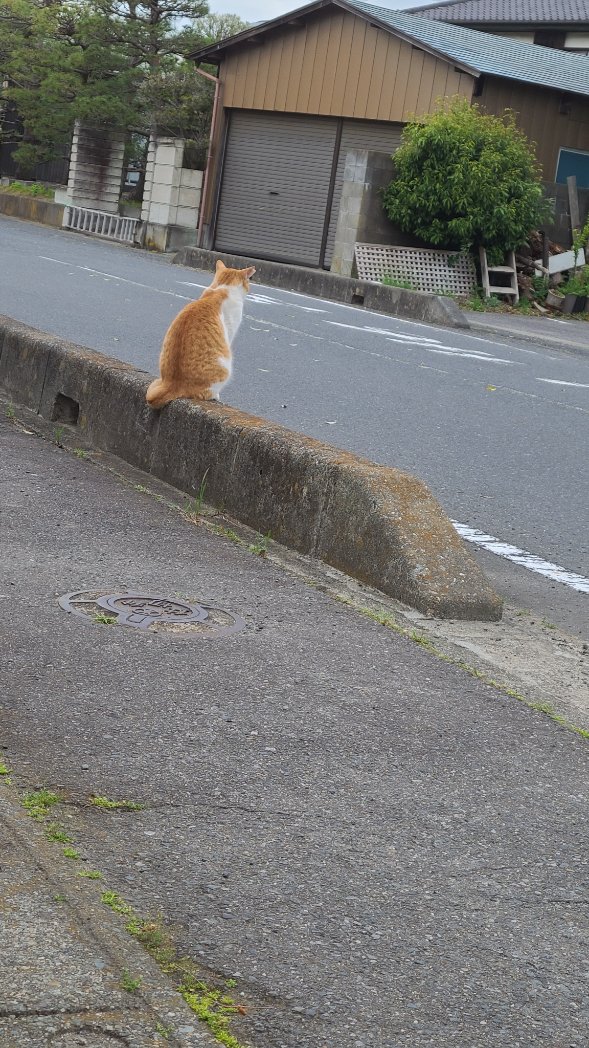 冨田望 tweet media