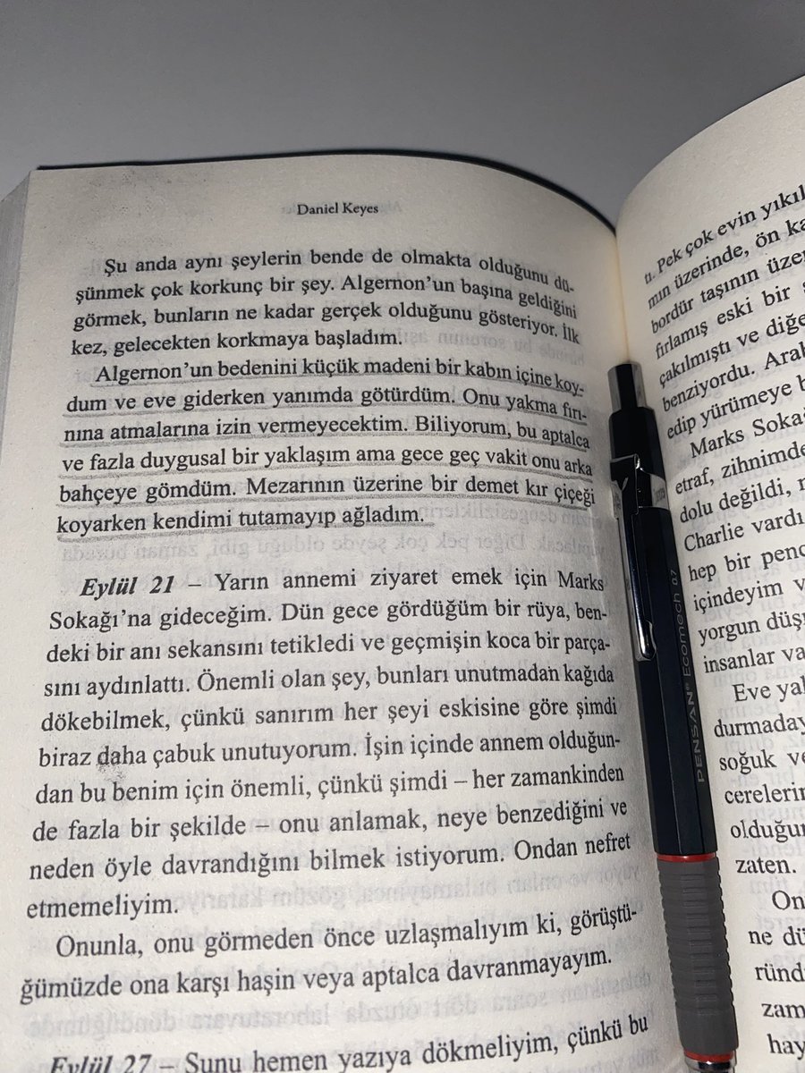Zeynepx tweet media