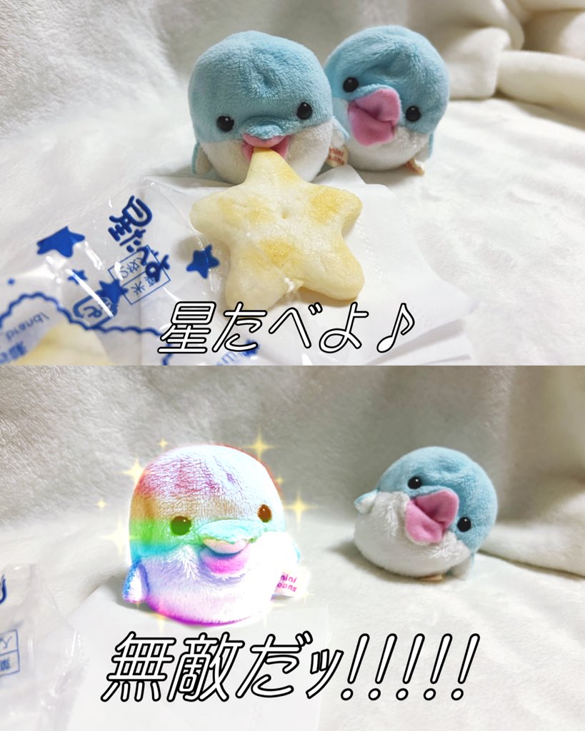 ゲーミングイルカちゃんかわいいね