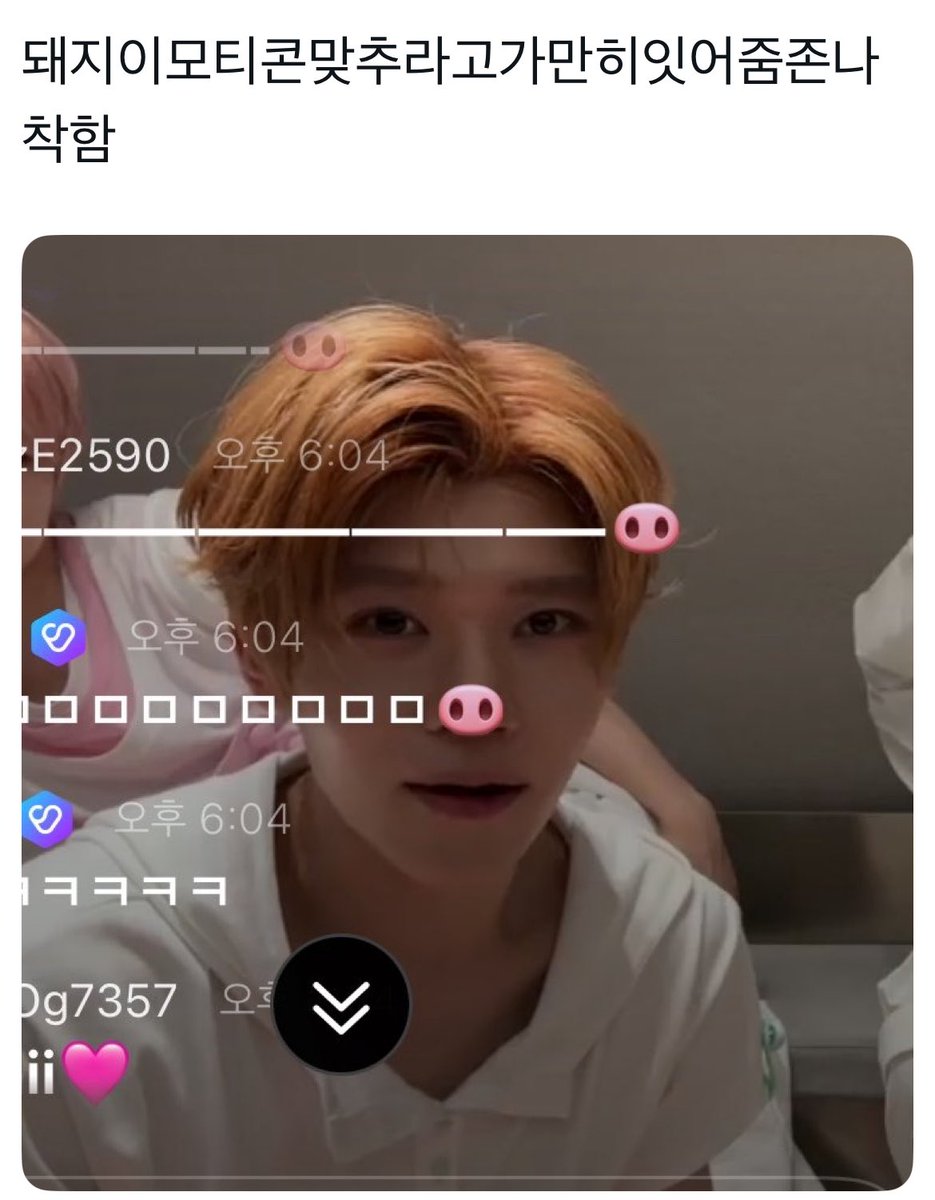 목포를 잉태한 여자 tweet media