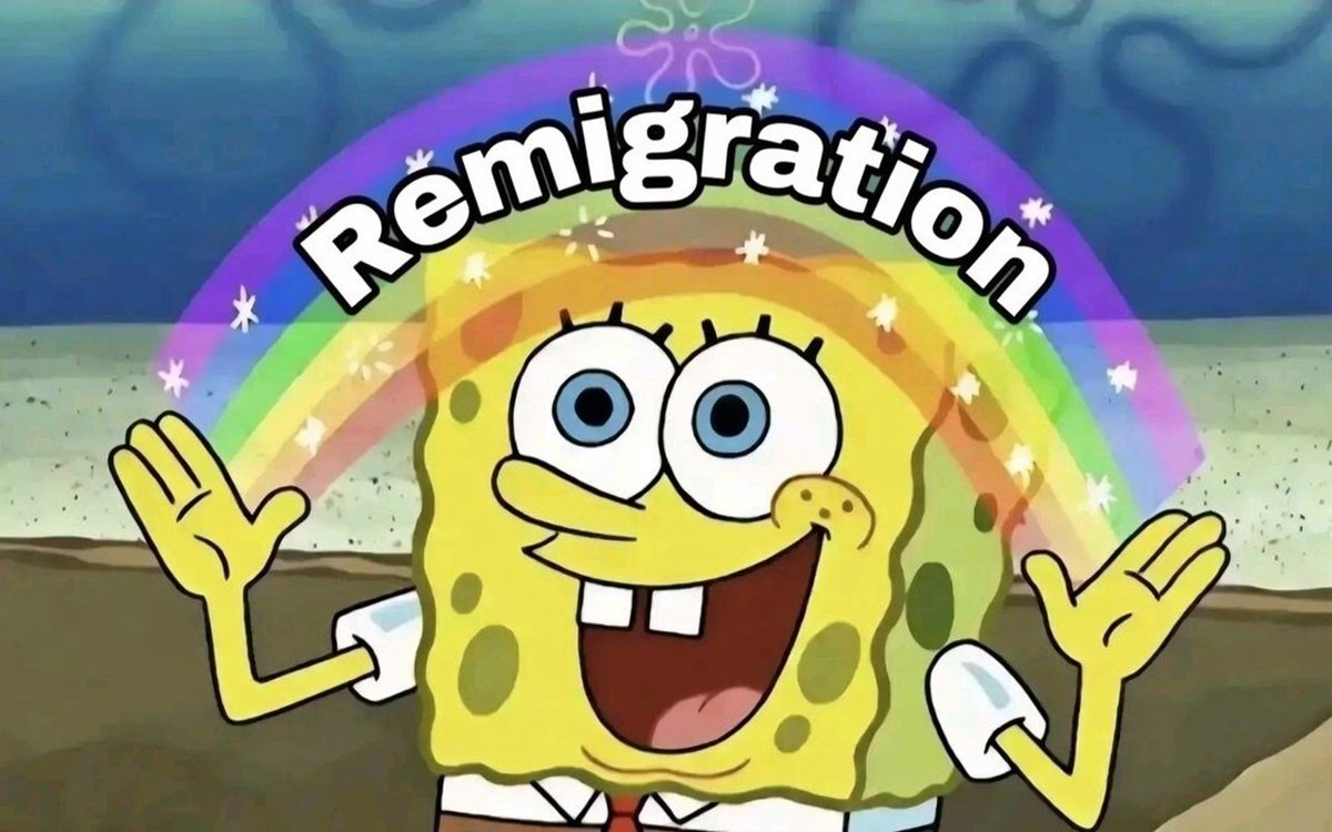 Das Lieblingswort aller Patrioten ist Remigration und das ist gut so.😎✈️