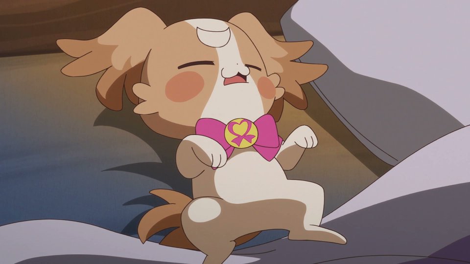 こむぎさん最高すぎんやろ…