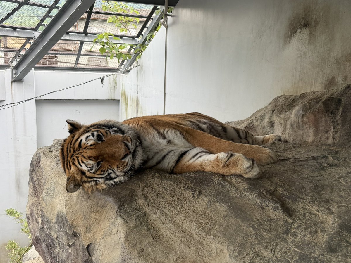 タカオ福山動物園（福山市立動物園） tweet media