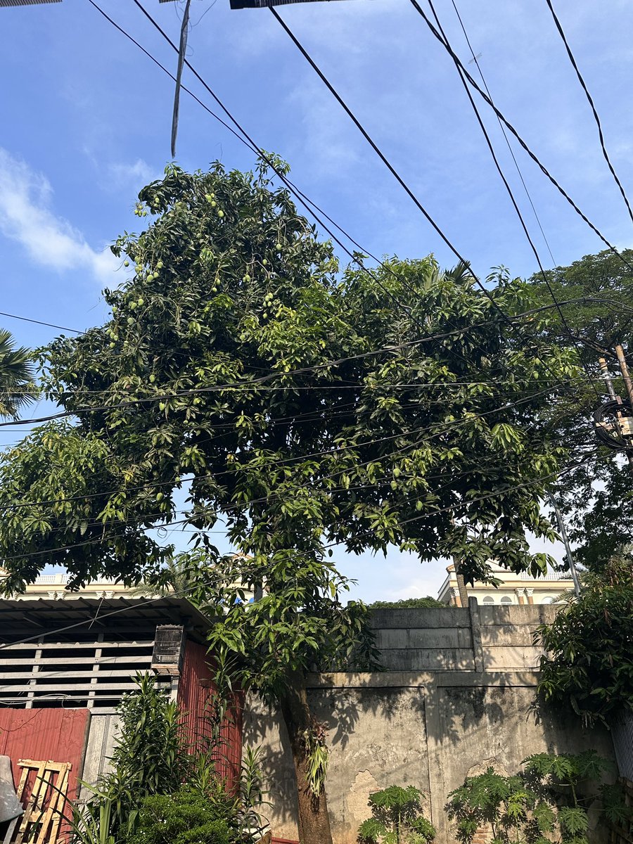 まゆこ || Mayukopi ☕️ tweet media
