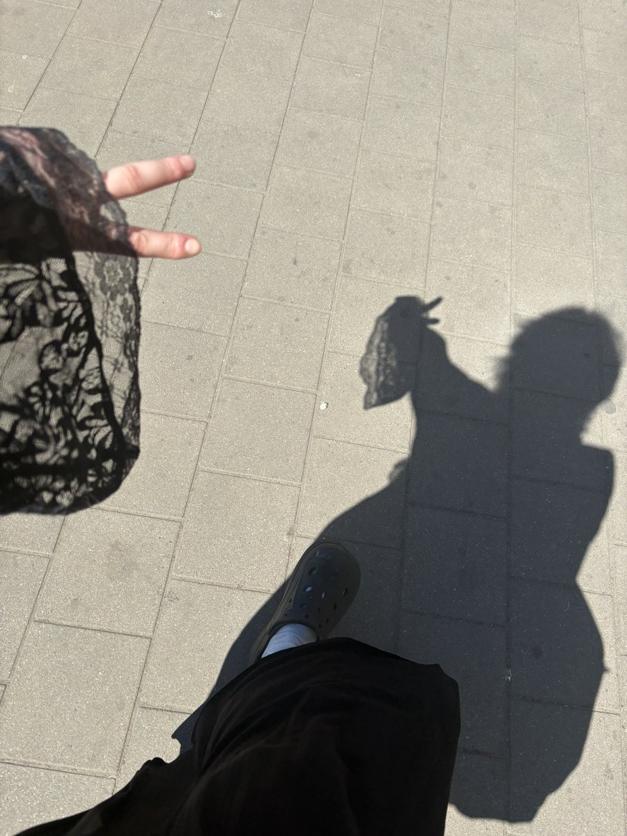 FaeRisen 🦝👑 tweet media