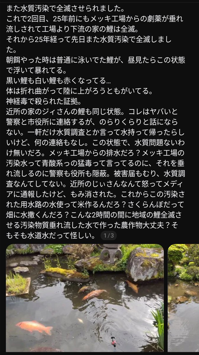 mytee tweet media