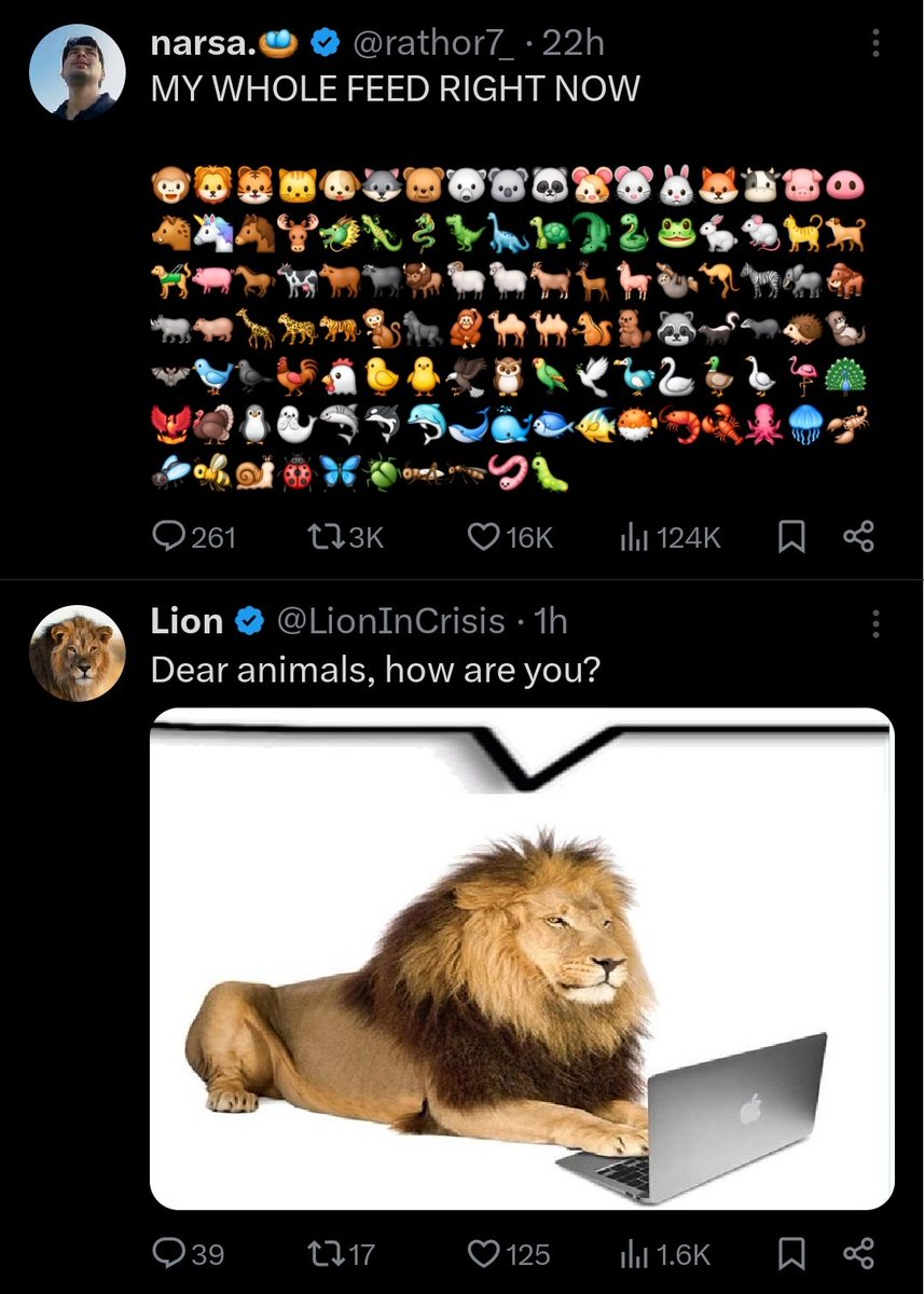 Lion tweet media