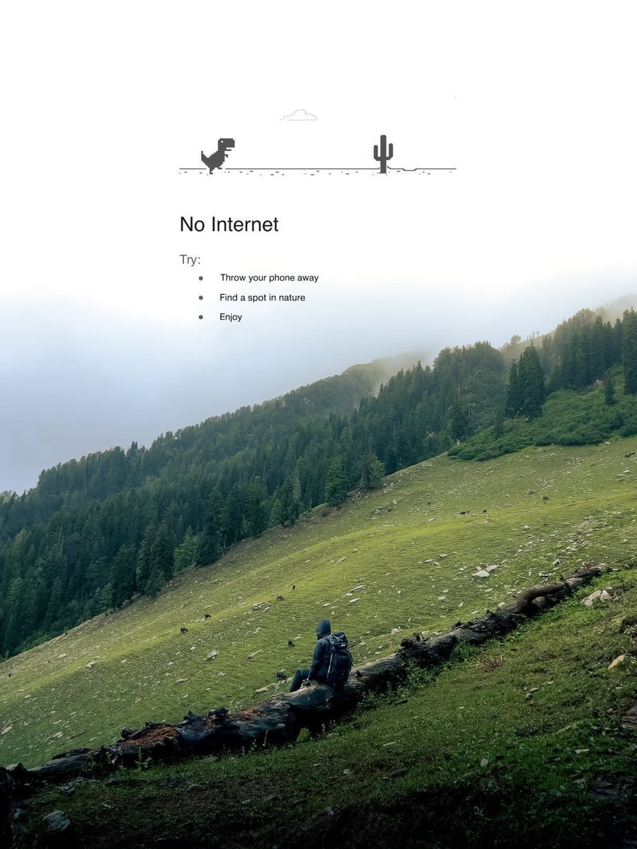 Nature Vibe tweet media