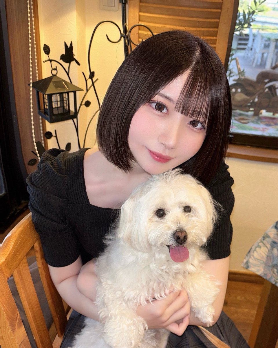 alice_srkw's tweet photo. 実家の風呂キャン1ヶ月まるぷー🐶 https://t.co/A72ZbprTp3