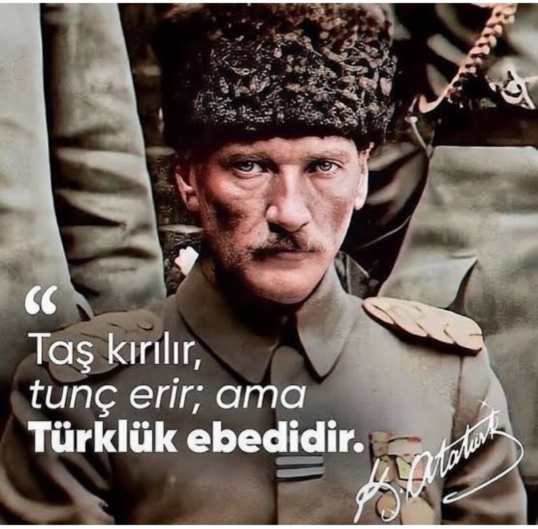 Serpil Gül tweet media