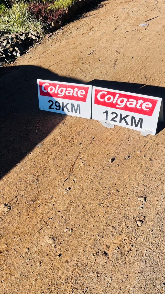 EkurhuleniDist1's tweet photo. Ms Busi Tshabalala, a dedicated pharmacist, proudly took part in the Colgate Race in Boksburg as part of promoting a healthy and active lifestyle.
#ColgateRace #AsibeHealthyGP https://t.co/8ckGAa9mtn