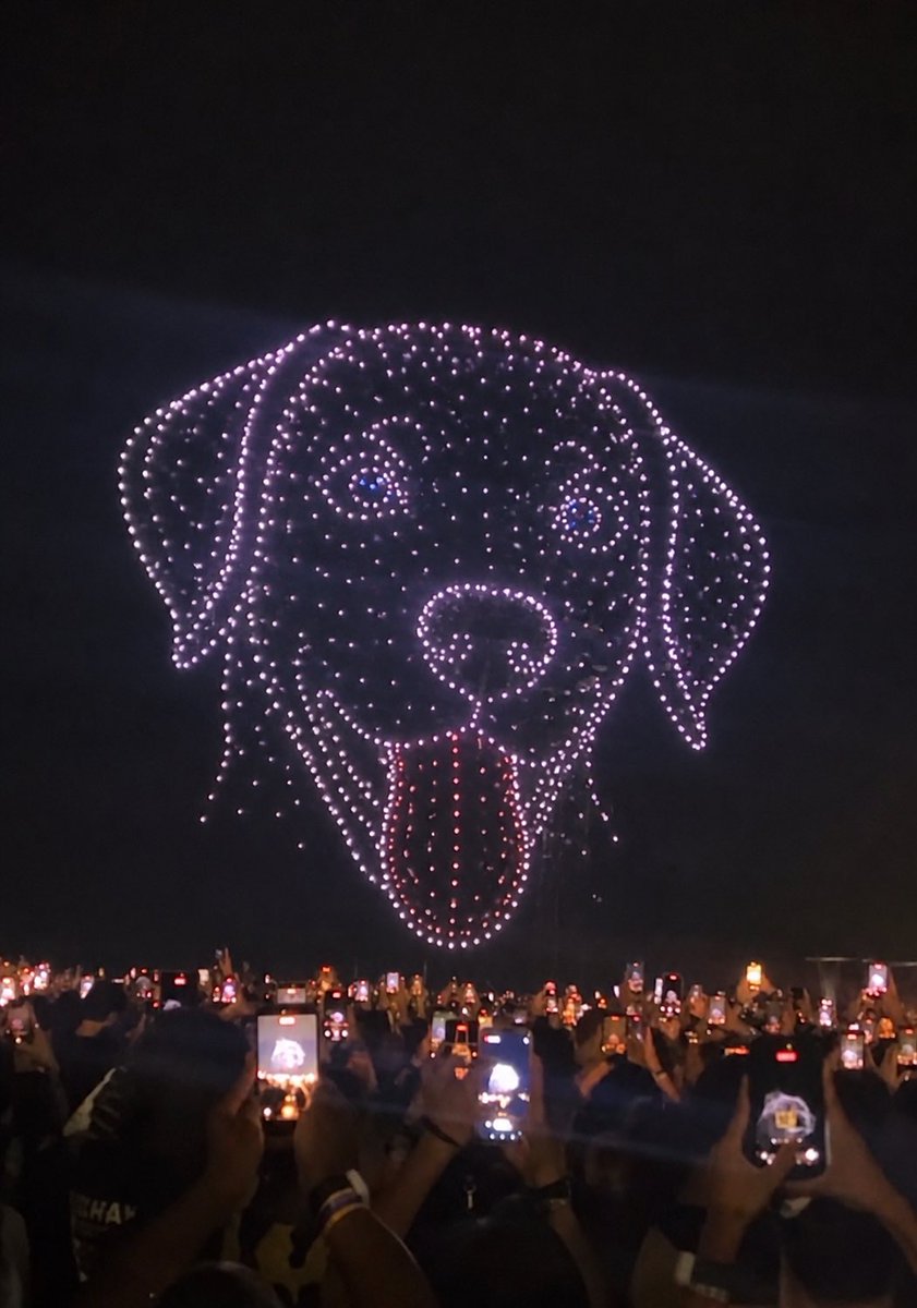 No céu da noite, luzes se unem para eternizar um amor que nunca se apaga… Orelha brilha para sempre nos nossos corações 🐾✨

#JustiçaPorOrelha 
#OrelhaEterno
#ShakiraNaGlobo