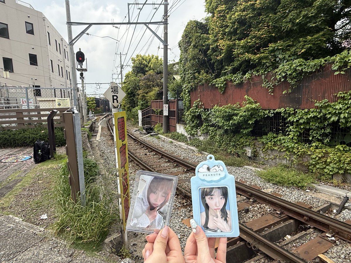 盆母我玉又栗子 tweet media