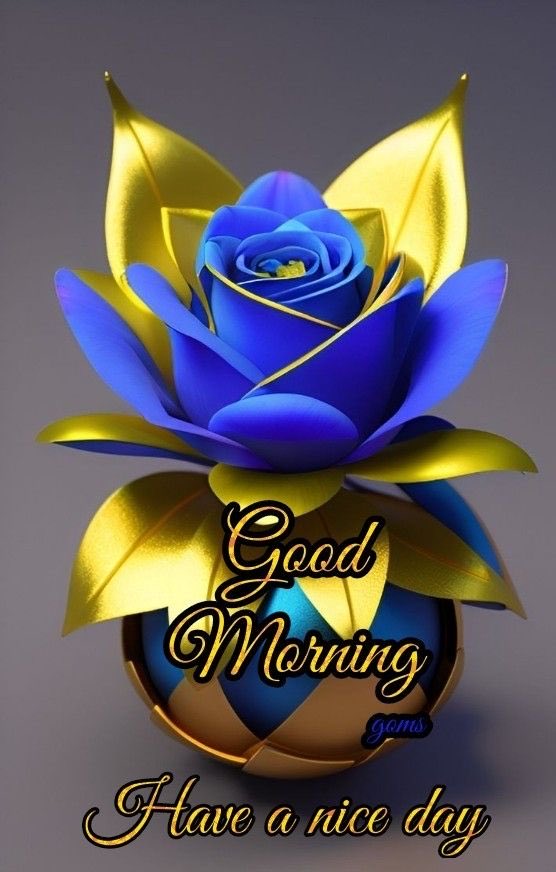 king_ajaz786's tweet image. #GOOD MORNING HAVE A NICE DAY 
EVERYONE BLESS SUNDAY 🌹😊