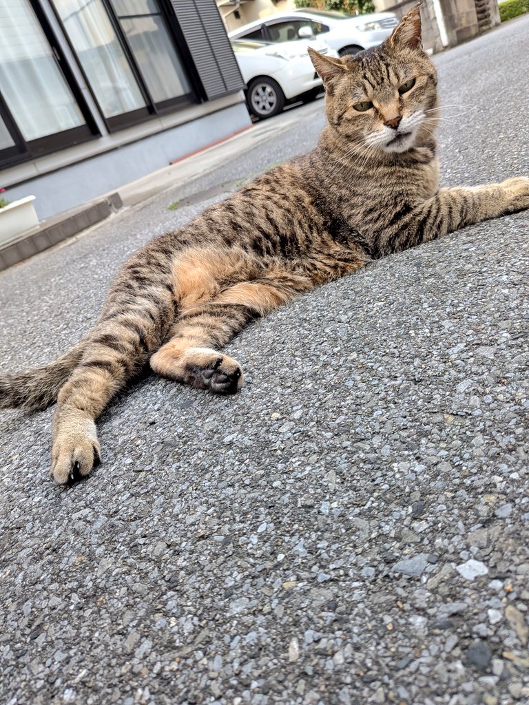 💫✨すすむん✨💫 tweet media