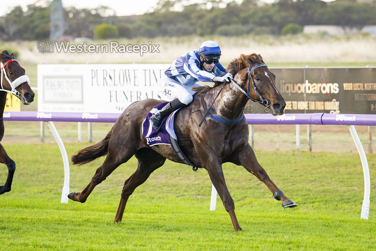 Western Racepix tweet media