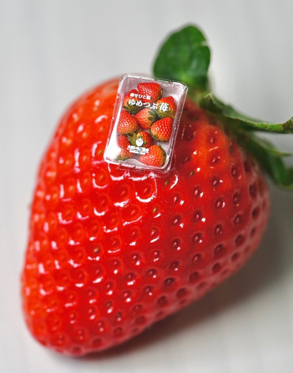 沢山のRP＆いいね有難う御座います！
2個セットのギフトBOXに
入れ完成です🍓