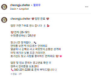 돈키 tweet media