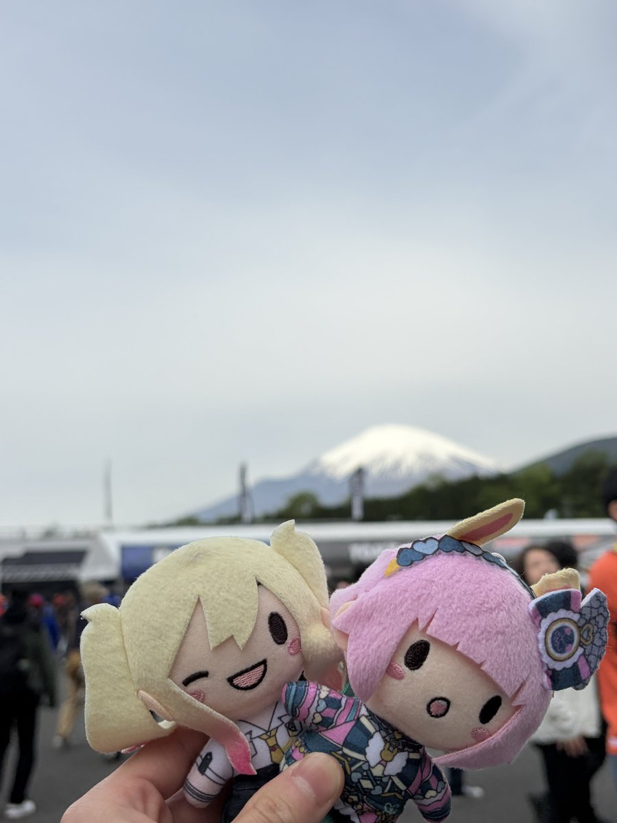 いるか🐬 tweet media