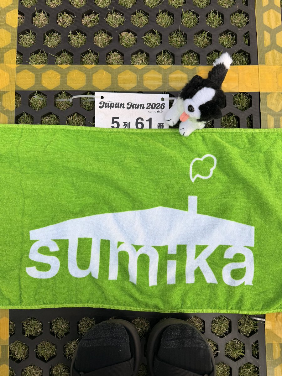 もみじ🐶🍁4/15👑🐃4/18🍏4/19ハイスタ4/24ドリアン4/28🏠4/29🍨 tweet media