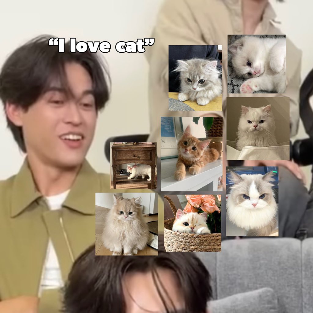 ʚ เบบี้พาว ɞ ⋆˚🐾˖° for เบบี้ตั้ว /ᐠ⑅ᐟ\ ୨୧ tweet media