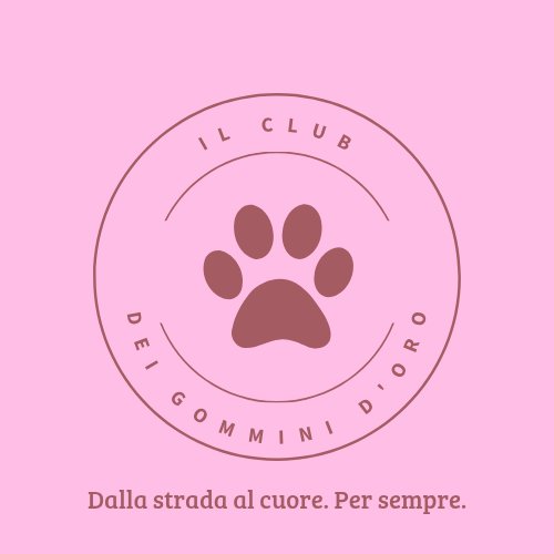 Il Club Dei Gommini D'Oro tweet media